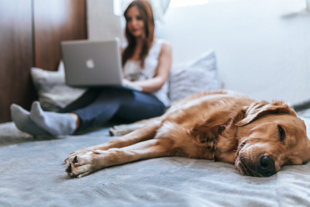 Ronspot can help your firm adopt hybrid work approach