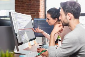 Software developers